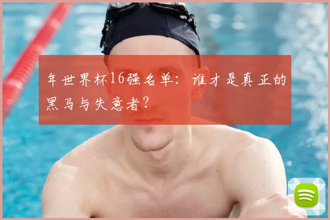 年世界杯16强名单:谁才是真正的黑马与失意者?