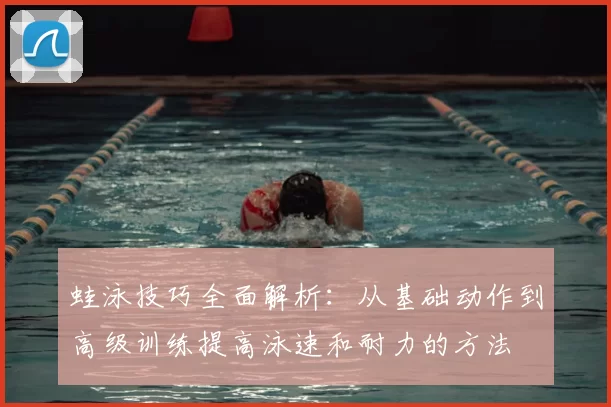 蛙泳技巧全面解析：从基础动作到高级训练提高泳速和耐力的方法