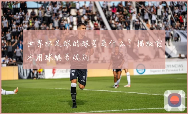 世界杯足球的球号是什么？揭秘官方用球编号规则