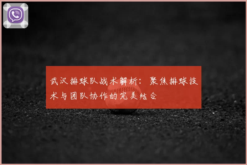 武汉排球队战术解析：聚焦排球技术与团队协作的完美结合