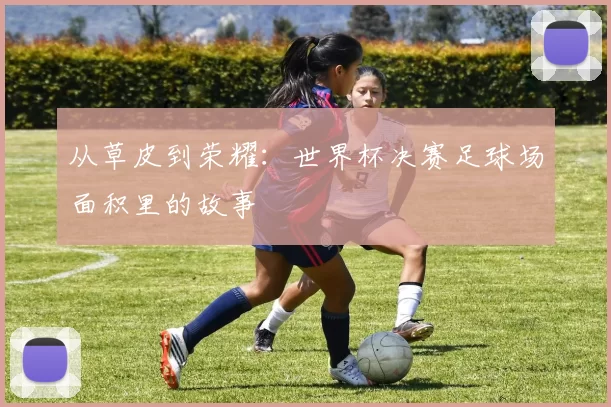 从草皮到荣耀：世界杯决赛足球场面积里的故事