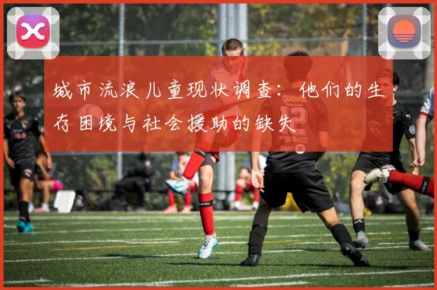 城市流浪儿童现状调查：他们的生存困境与社会援助的缺失