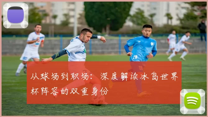 从球场到职场：深度解读冰岛世界杯阵容的双重身份