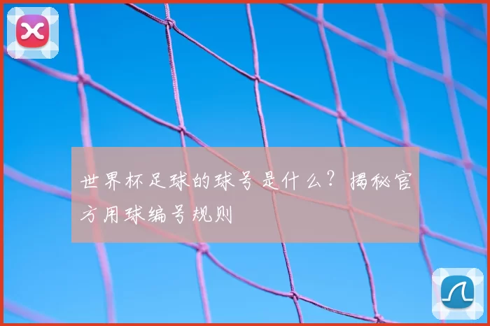 世界杯足球的球号是什么？揭秘官方用球编号规则