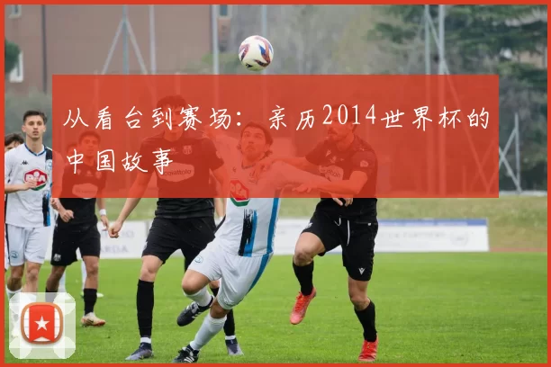 从看台到赛场:亲历2014世界杯的中国故事