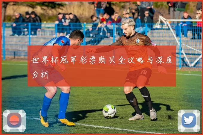 世界杯冠军彩票购买全攻略与深度分析