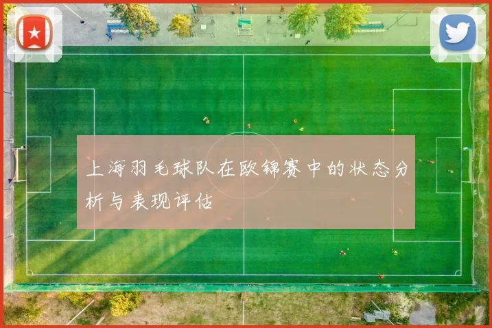 上海羽毛球队在欧锦赛中的状态分析与表现评估