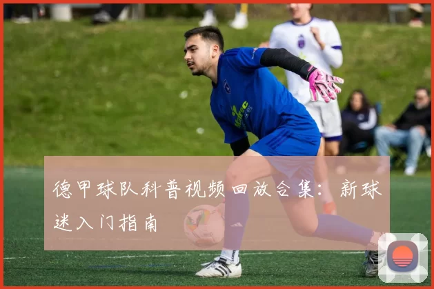 德甲球队科普视频回放合集:新球迷入门指南
