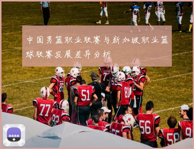 中国男篮职业联赛与新加坡职业篮球联赛发展差异分析
