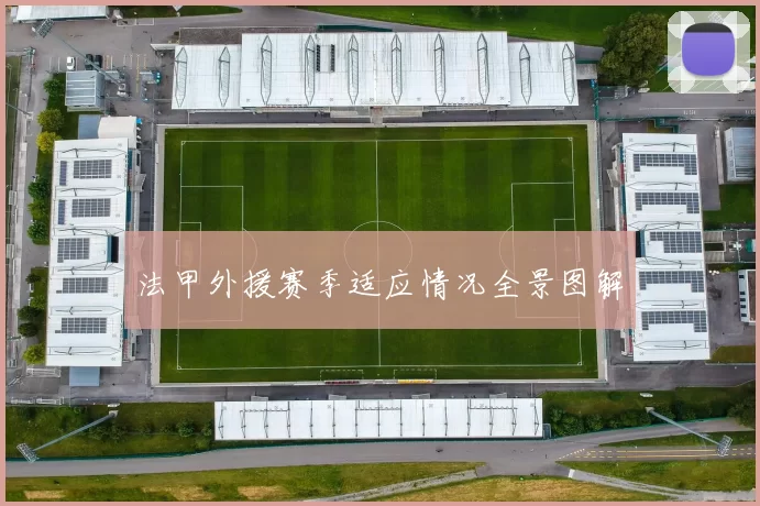 法甲外援赛季适应情况全景图解