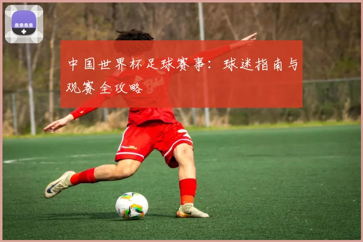 中国世界杯足球赛事:球迷指南与观赛全攻略
