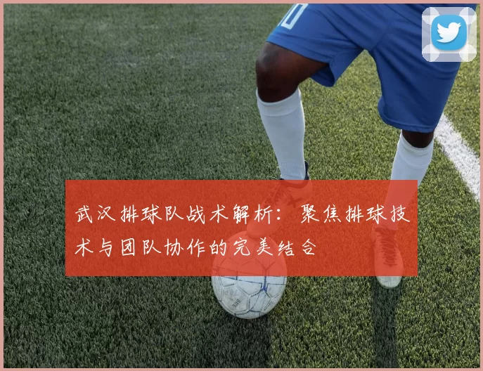 武汉排球队战术解析：聚焦排球技术与团队协作的完美结合