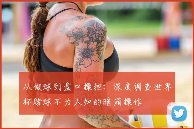 从假球到盘口操控：深度调查世界杯赌球不为人知的暗箱操作