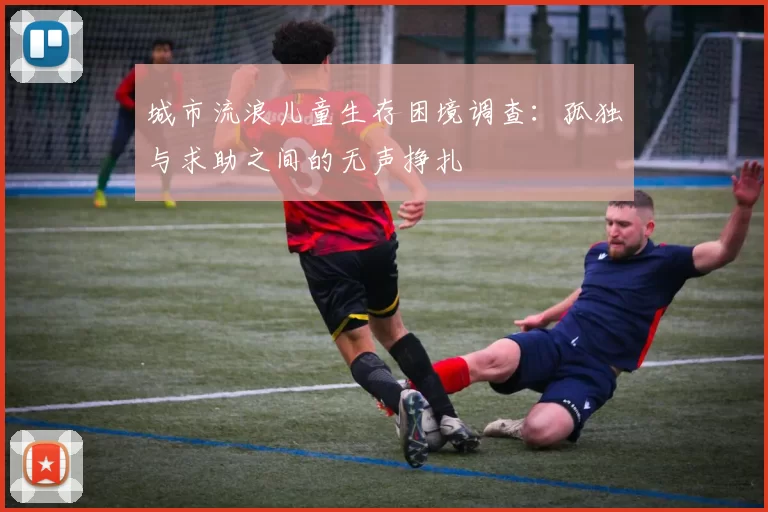 城市流浪儿童生存困境调查：孤独与求助之间的无声挣扎