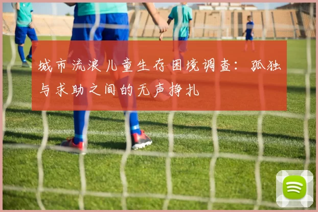 城市流浪儿童生存困境调查：孤独与求助之间的无声挣扎