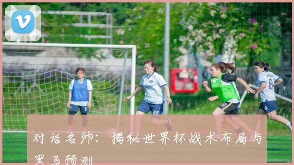 对话名帅:揭秘世界杯战术布局与黑马预测