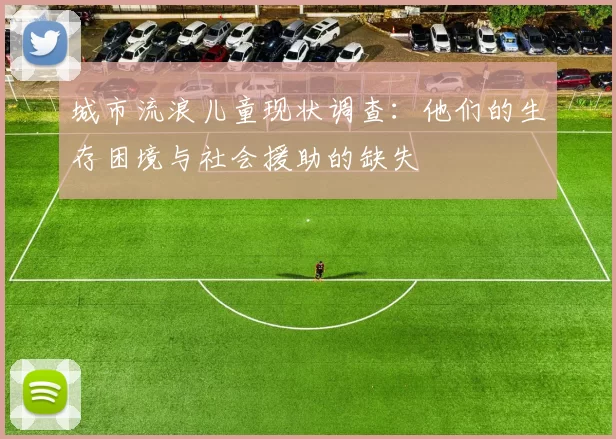 城市流浪儿童现状调查：他们的生存困境与社会援助的缺失