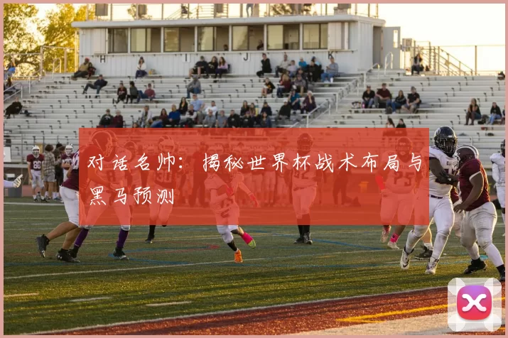 对话名帅：揭秘世界杯战术布局与黑马预测