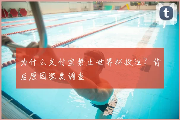 为什么支付宝禁止世界杯投注？背后原因深度调查