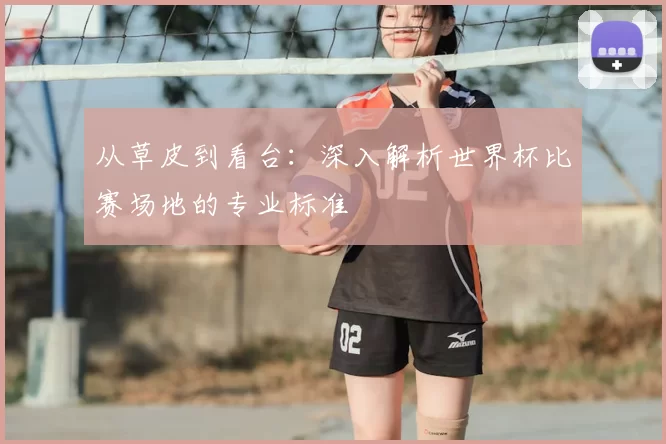 从草皮到看台：深入解析世界杯比赛场地的专业标准